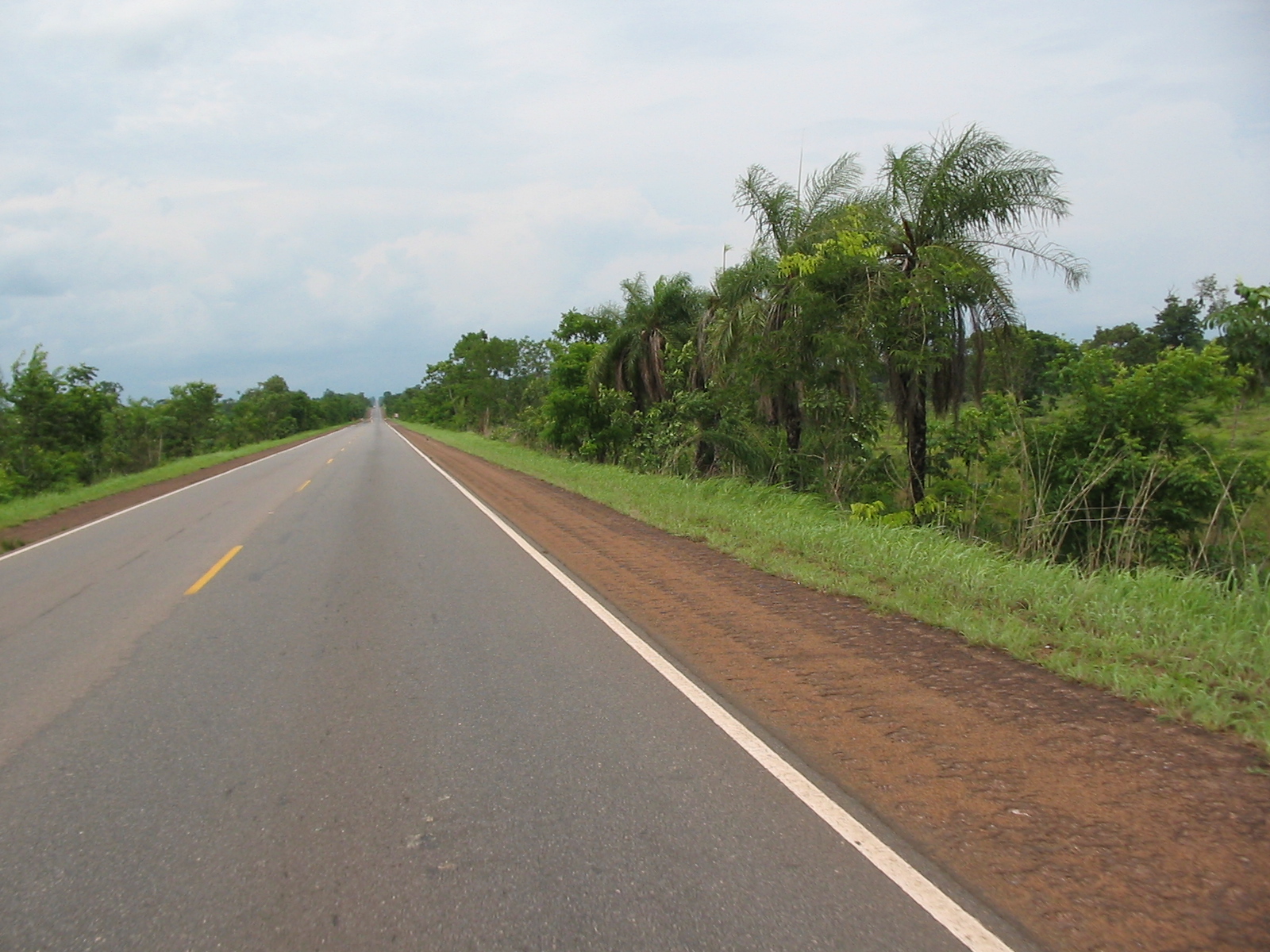 EPL está em etapa final para concluir mais três estudos de rodovias EPL está em etapa final para concluir mais três estudos de rodovias