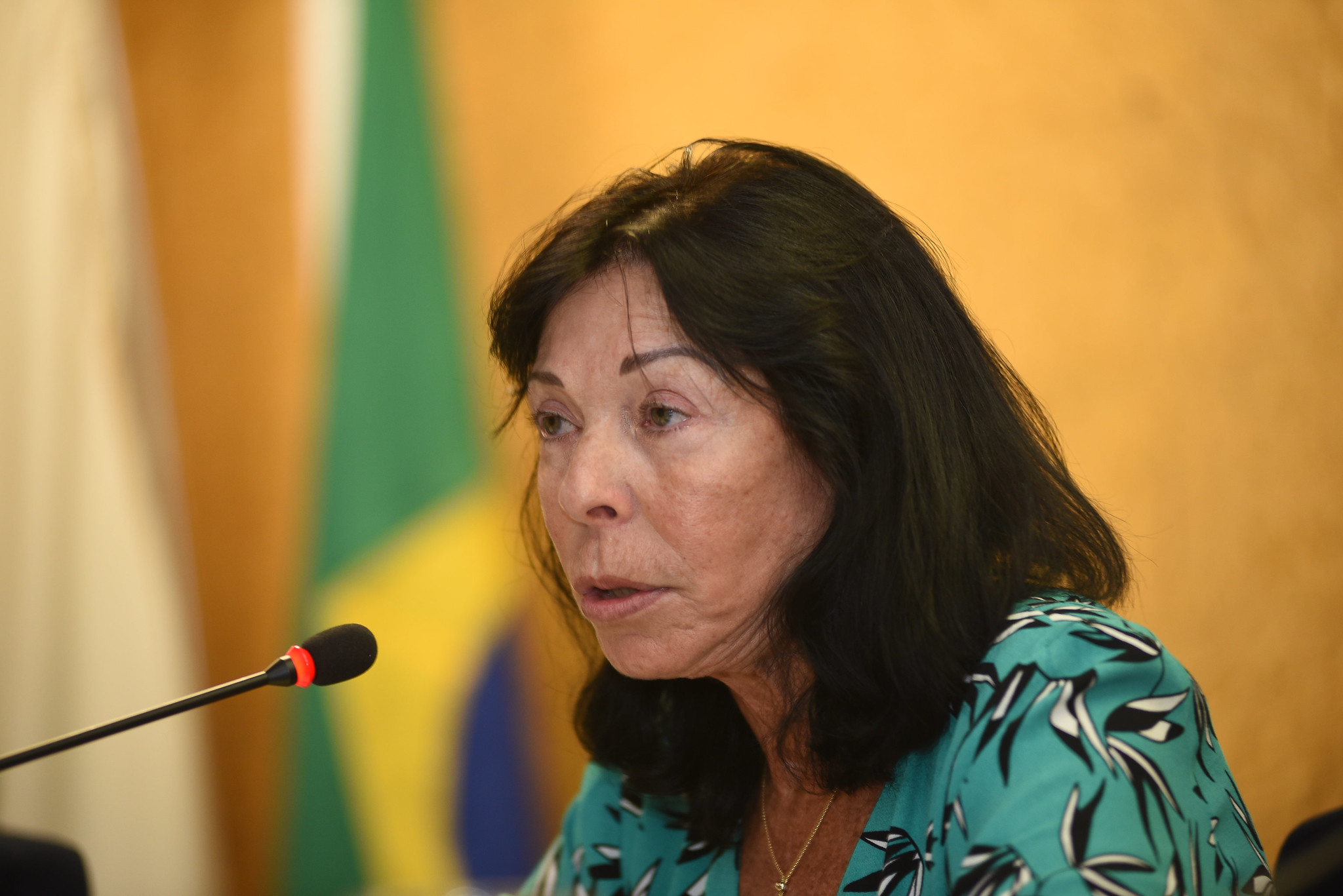 Modernização do setor elétrico será feita em três ‘ondas’, diz secretária-executiva do MME Modernização do setor elétrico será feita em três ‘ondas’, diz secretária-executiva do MME