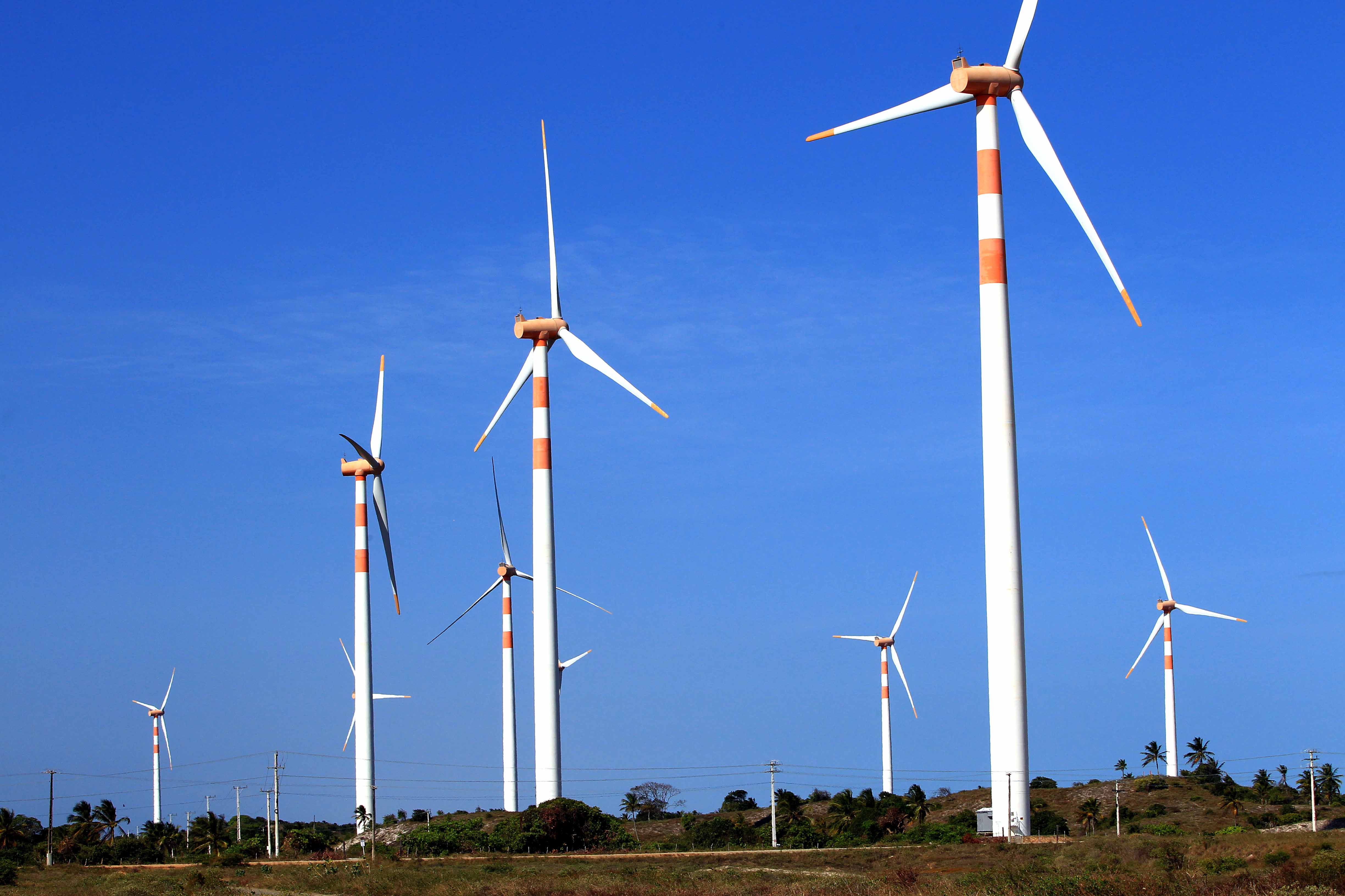 Eólicas lideram desembolsos do BNDES na área de energia, mas transmissão dá salto de 137% Eólicas lideram desembolsos do BNDES na área de energia, mas transmissão dá salto de 137%