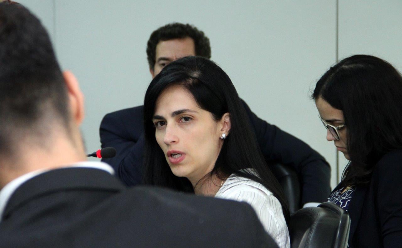 Diretora da Artesp diz que novos contratos de rodovia são adequados ao reequilíbrio na pandemia