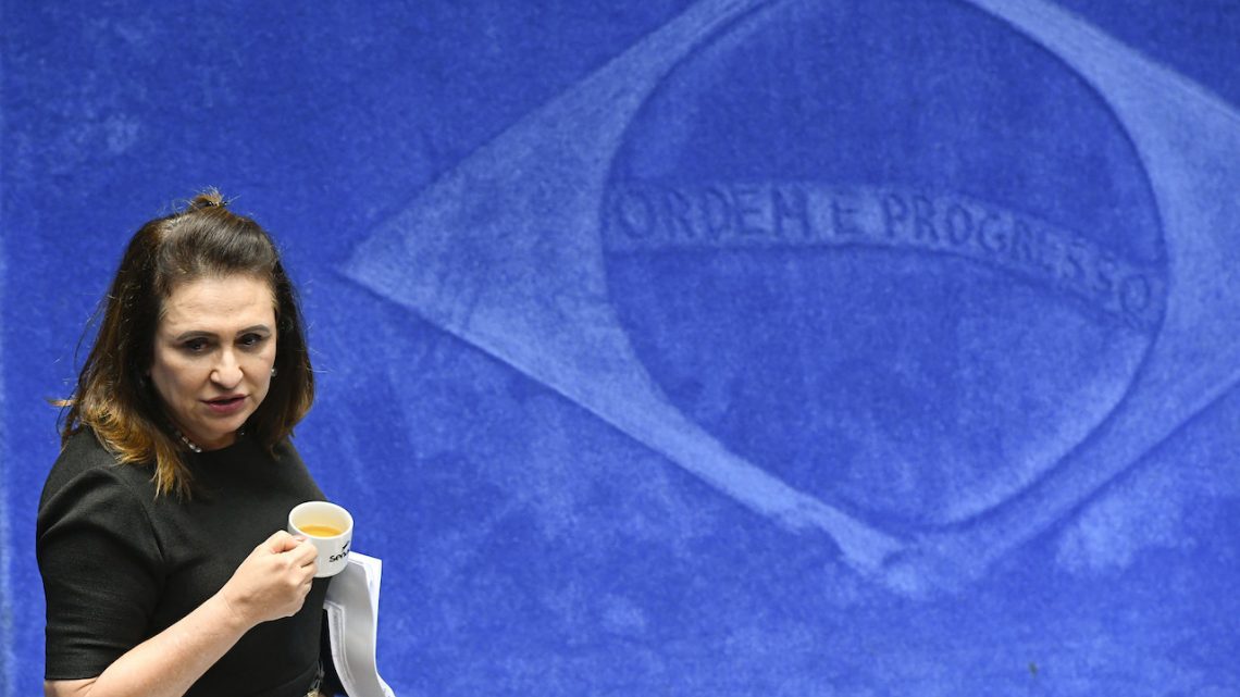 Senadora diz que cansou de esperar projeto do governo para cabotagem Senadora diz que cansou de esperar projeto do governo para cabotagem