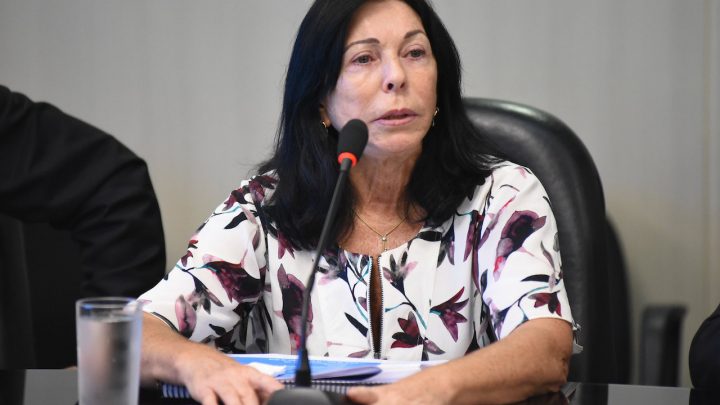 MP da Eletrobras tem menos viés arrecadatório que o PL, diz secretária-executiva do MME