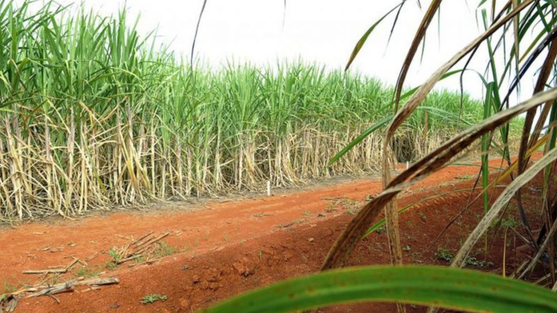 iNFRADebate: O etanol na transição energética para o hidrogênio verde iNFRADebate: O etanol na transição energética para o hidrogênio verde