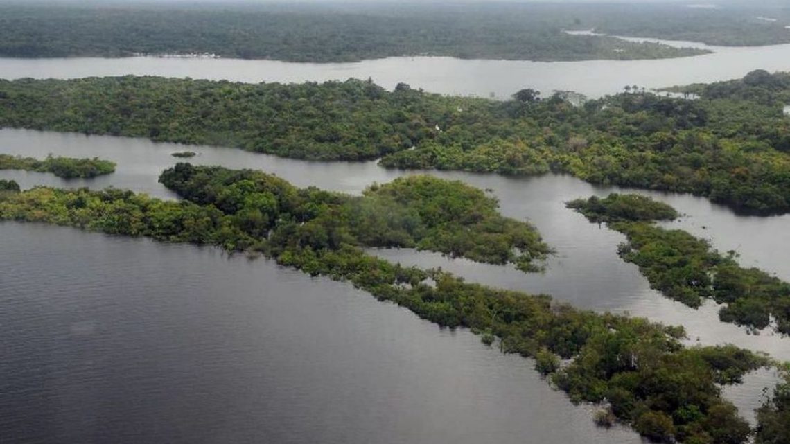 Estudos apontam soluções para transição energética na Amazônia Estudos apontam soluções para transição energética na Amazônia