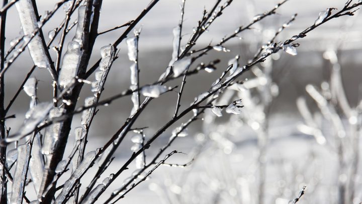 Análise: Frio europeu começa a chegar e eleva tensão com crise energética