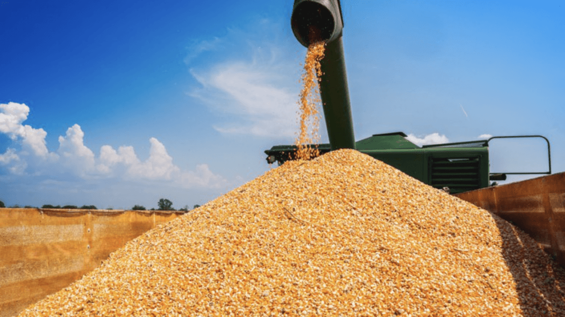 Acesso a terminais em Miritituba é preocupação para escoamento da supersafra de grãos Acesso a terminais em Miritituba é preocupação para escoamento da supersafra de grãos